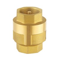 1/2 1"brass Non Return Female Threaded Vertical Lift Check Valves